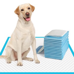 Pet Pads Manufacturer - China Factory Wholesale Pee Pads Disposable Training Super Absorbent