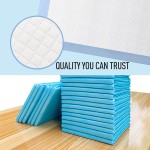 宠物尿垫厂家 - 中国供应商A级高品质训练垫热销定制