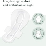 卫生巾厂家 - 批发强吸收护垫无香超薄翼型