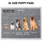 宠物尿垫厂家 - 2025厂批发高吸收护理垫一次性舒适