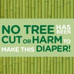 竹浆婴儿尿裤生产商 - 环保可降解妈妈首选