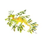 邮票厂家 - 新款100片澳大利亚邮政贴纸全球防伪