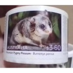 邮票标签厂家 - 3.6澳元澳大利亚侏儒负鼠设计自粘100片卷