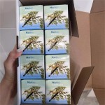 邮票厂家 - 新款100片澳大利亚邮政贴纸全球防伪