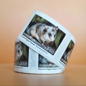 Stamp Labels Manufacturer - $3.60 Australia Pygmy Possum Design Self Adhesive 100pcs Roll