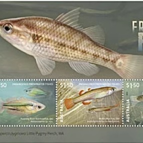Australian Stamps Manufacturer - 2025 Variety Small Fish Suitable Weddings Opening Ceremonies