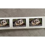 邮票标签厂家 - 3.6澳元澳大利亚侏儒负鼠设计自粘100片卷