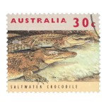 标签贴纸厂家 - 澳大利亚咸水鳄运输标签套装100枚