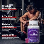 肌酸软糖工厂 - 批发价提升能量补充