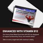 草本男性薄膜片工厂 - 现货Staminaplus天然草本提升性欲