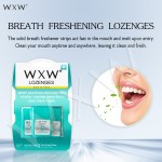 口气清新片供应商 - 快速溶解持久薄荷无糖