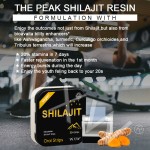 喜来芝片生产商 - OEM ODM快速作用天然能量提升