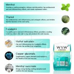 口气清新片供应商 - 快速溶解持久薄荷无糖