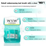 口气清新片供应商 - 快速溶解持久薄荷无糖