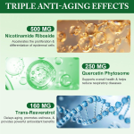 NAD胶囊厂家 - 高品质定制500毫克烟酰胺核糖苷NAD白藜芦醇