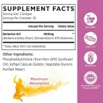 小檗碱胶囊厂家 - 批发代工私模膳食补充有机纯素