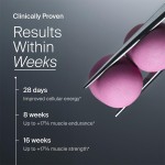 尿石素软糖厂家 - BioFlex代工私模天然500毫克尿石素A补充