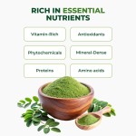 辣木粉厂家 - BioFlex中国供应商批发批量代工私模调味