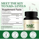 NAD胶囊厂家 - 定制配方500毫克烟酰胺核糖苷NAD白藜芦醇胶囊