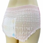 Period Pants Manufacturer - Female Periods Lady Menstrual Adult Girls Disposable