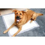 宠物尿垫厂家 - 宠物尿垫尿液垫狗笼板条箱垫批发