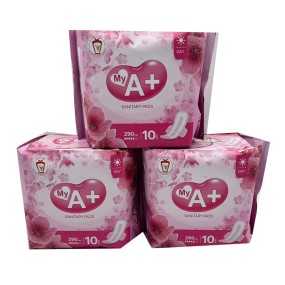 Sanitary Pads Manufacturer - 290mm Custom Girls Breathable Soft Factory Sell Winged Disposable