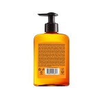 洗手液厂家 - 梨牌洗手液纯柔250毫升