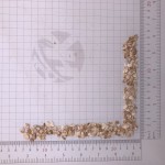 1155 Bai Ma Ka Wholesale White Maca Granules TCM Herb Roots Ma Ka Used for Powder Extract