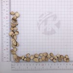 1017苦参批发苦参切片中国凉茶天然干苦参根