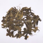 5004 Yin Xing Ye Good Quality Gingko Herbal Tea Loose Leaf Health Dried Ginkgo Biloba Leaf Tea