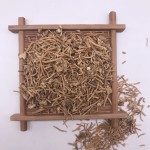 1036 Bai Wei High Quality Chinese Herbs Radix Cynanchi Atrati Dried Cynanchum Atratum Root