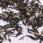 5069野生原料工厂直接供应凉茶达米阿纳叶干达米阿纳叶