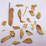 1180小博高品质小檗片小檗根干中草药原料加工风干