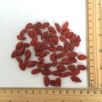 2012 Gou Qi Fresh Gouqi Dried Fruit Goji Berry Fructus Lycii Wolfberry for Food