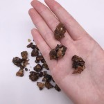 8002 Zhi Ru Xiang High Quality Chinese Herba Prepared Frankincense Natural Toasted Frankincense