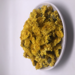 4022W风味茶浸泡4厘米婺源皇菊金菊茶凉茶