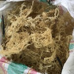 N10健康天然产品美味食品海苔干