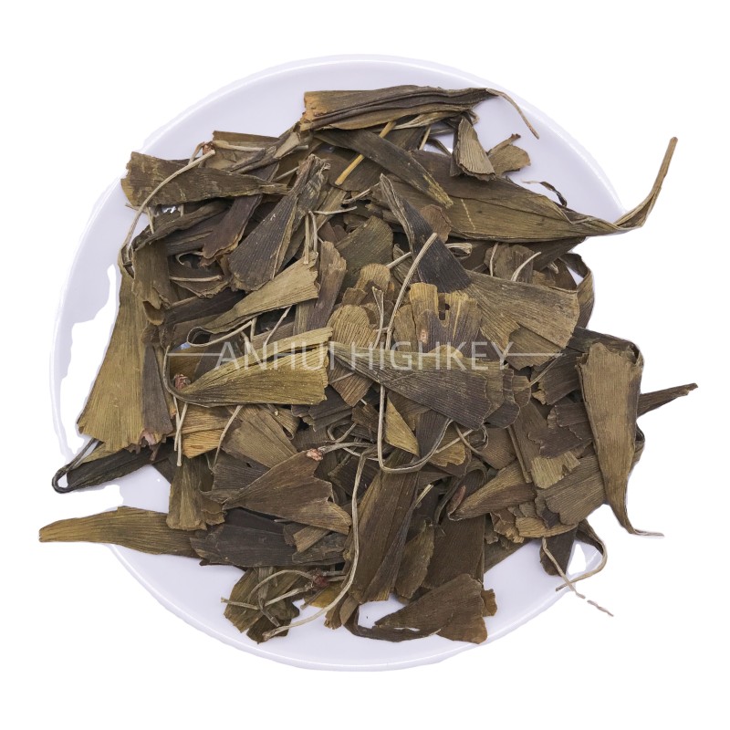 5004 Yin Xing Ye Good Quality Gingko Herbal Tea Loose Leaf Health Dried Ginkgo Biloba Leaf Tea