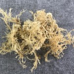 N10健康天然产品美味食品海苔干