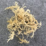 N10健康天然产品美味食品海苔干