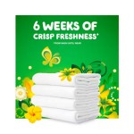 洗衣液厂家 - 批量库存供应商Gain香液原香107次154盎司