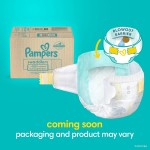 婴儿纸尿裤厂家 - 最优价Pampers Swaddlers2码186片顶级卖家