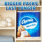 Toilet Paper Manufacturer - Premium Charmin Ultra Strong 24 Family Mega Rolls 123 Rolls Worldwide