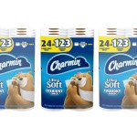 Toilet Paper Manufacturer - Premium Charmin Ultra Strong 24 Family Mega Rolls 123 Rolls Worldwide