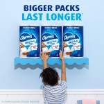 Toilet Paper Manufacturer - Genuine Charmin Ultra Soft 18 Family Mega Rolls 90 Rolls Wholesale