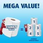 Toilet Paper Manufacturer - Charmin Ultra Strong 18 Family Mega Rolls 90 Regular Rolls Stock