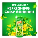 洗衣增效剂厂家 - 热销原品Gain Fireworks洗中增效珠24盎司