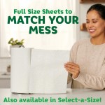 Paper Towels Manufacturer - Highly Effective Bounty Full Sheet White 2 Triple Rolls 6 Regular