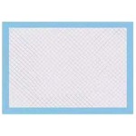 Underpads Manufacturer - Premium Quality Adult Diaper Incontinence Pants Hospital Under