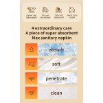 卫生护垫厂家 - 私模高品质防漏棉柔表层护垫